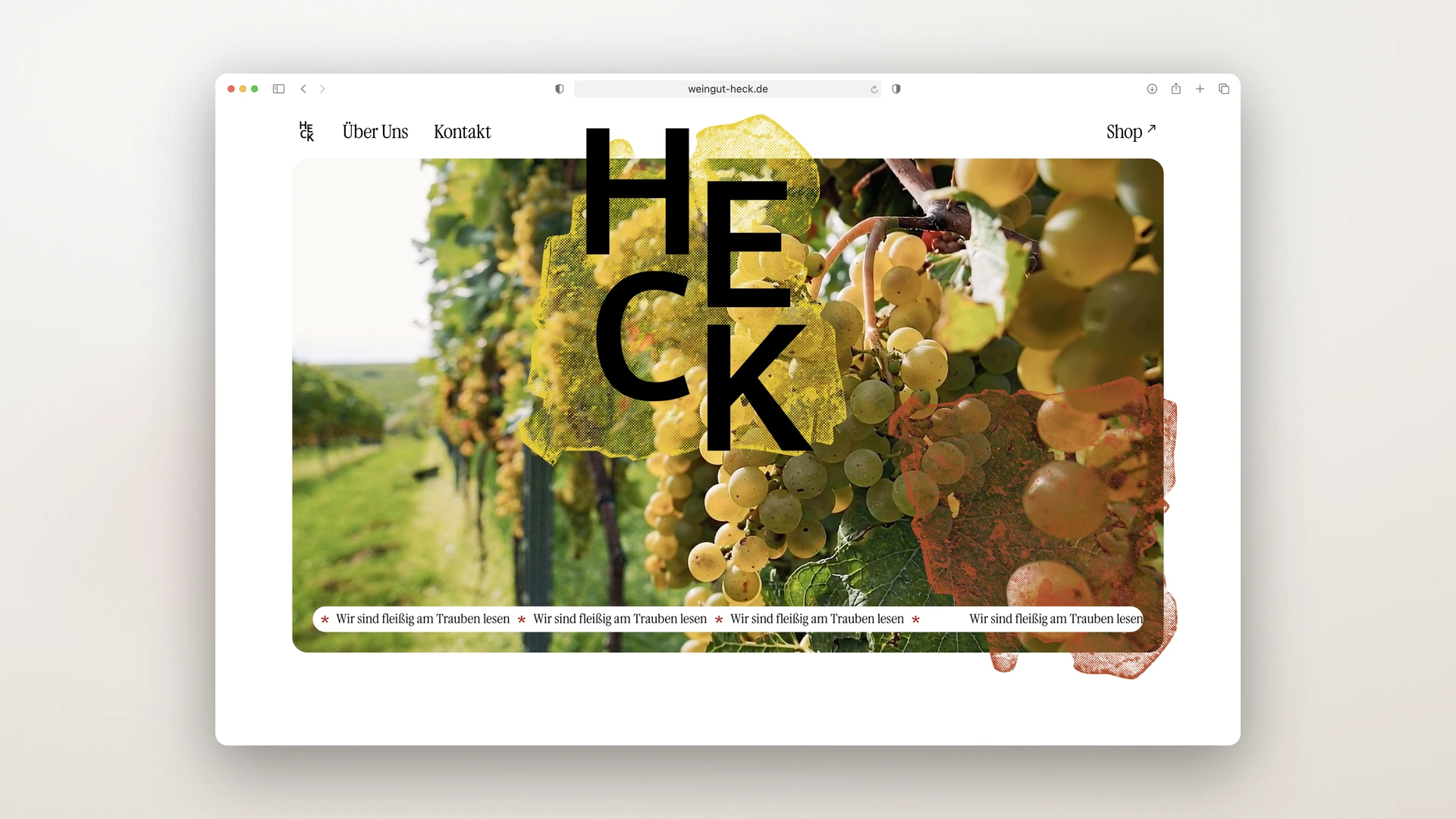 Weingut Heck - Desktop Home Stage with the HECK Wordmark over the Vineyard Photo