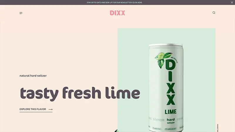 Dixx website preview