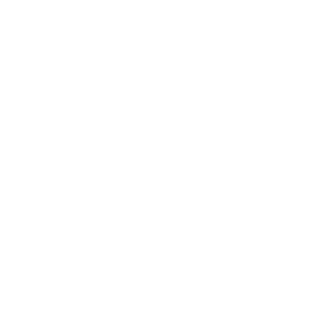 System Plus Logistic Service